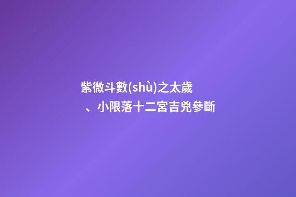 紫微斗數(shù)之太歲、小限落十二宮吉兇參斷